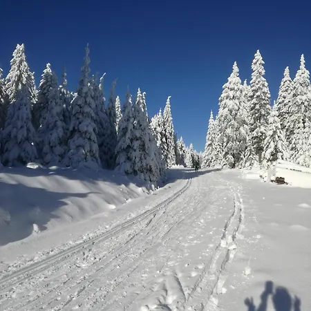 بيت للعطل Horska Martin Loučná pod Klínovcem
