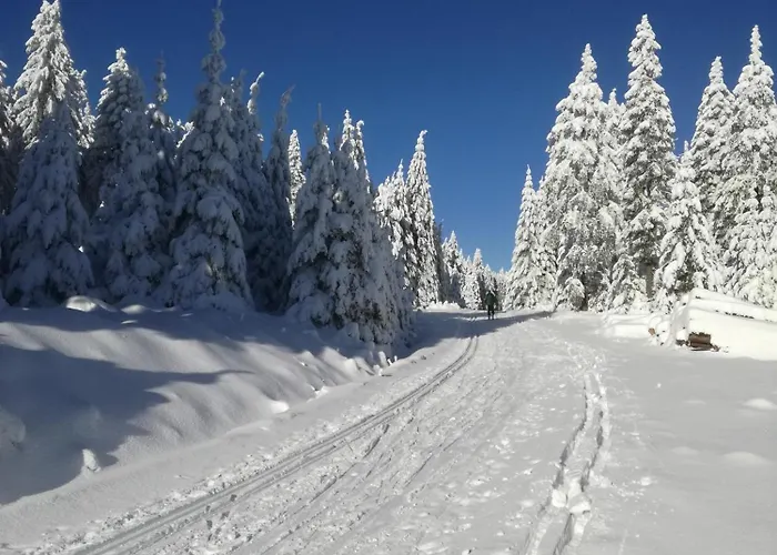 بيت للعطل Horska Martin Loučná pod Klínovcem